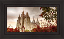 Load image into Gallery viewer, Salt Lake Autumn Trees
