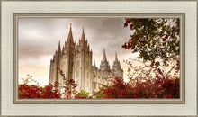 Load image into Gallery viewer, Salt Lake Autumn Trees
