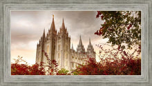 Load image into Gallery viewer, Salt Lake Autumn Trees
