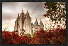 Load image into Gallery viewer, Salt Lake Autumn Trees Gallery Wrap
