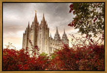 Load image into Gallery viewer, Salt Lake Autumn Trees Gallery Wrap
