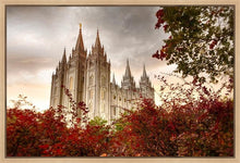 Load image into Gallery viewer, Salt Lake Autumn Trees Gallery Wrap
