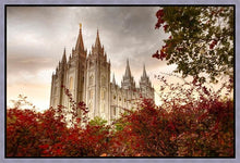 Load image into Gallery viewer, Salt Lake Autumn Trees Gallery Wrap
