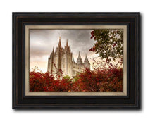 Load image into Gallery viewer, Salt Lake Autumn Trees
