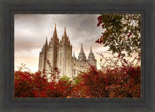 Load image into Gallery viewer, Salt Lake Autumn Trees
