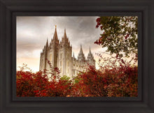 Load image into Gallery viewer, Salt Lake Autumn Trees
