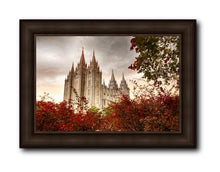 Load image into Gallery viewer, Salt Lake Autumn Trees
