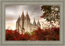 Load image into Gallery viewer, Salt Lake Autumn Trees
