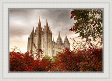 Load image into Gallery viewer, Salt Lake Autumn Trees
