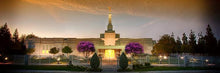 Load image into Gallery viewer, Fresno 01
