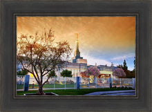Load image into Gallery viewer, Fresno 03
