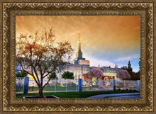 Load image into Gallery viewer, Fresno 03
