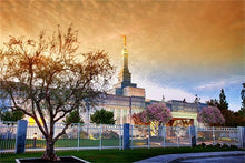 Load image into Gallery viewer, Fresno 03
