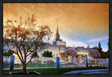 Load image into Gallery viewer, Fresno 03 Gallery Wrap
