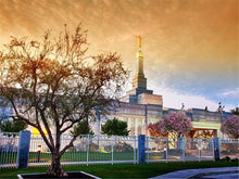 Load image into Gallery viewer, Fresno 03 Gallery Wrap
