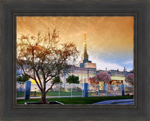 Load image into Gallery viewer, Fresno 03
