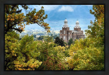 Load image into Gallery viewer, Logan Through the Trees Gallery Wrap
