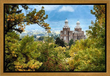 Load image into Gallery viewer, Logan Through the Trees Gallery Wrap
