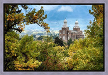Load image into Gallery viewer, Logan Through the Trees Gallery Wrap
