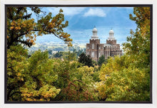 Load image into Gallery viewer, Logan Through the Trees Gallery Wrap

