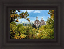 Load image into Gallery viewer, Logan Through the Trees
