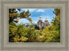 Load image into Gallery viewer, Logan Through the Trees

