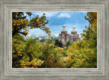 Load image into Gallery viewer, Logan Through the Trees
