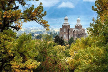 Load image into Gallery viewer, Logan Through the Trees Gallery Wrap
