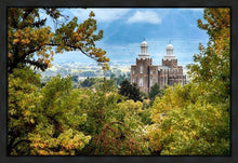 Load image into Gallery viewer, Logan Through the Trees Gallery Wrap
