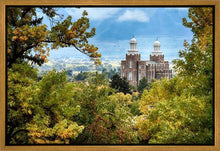 Load image into Gallery viewer, Logan Through the Trees Gallery Wrap
