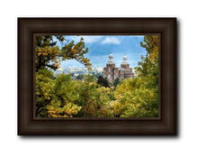 Load image into Gallery viewer, Logan Through The Trees
