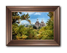 Load image into Gallery viewer, Logan Through The Trees

