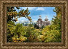 Load image into Gallery viewer, Logan Through the Trees
