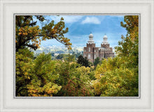 Load image into Gallery viewer, Logan Through the Trees
