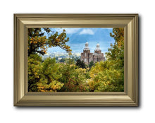 Load image into Gallery viewer, Logan Through The Trees
