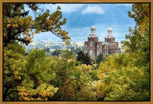 Load image into Gallery viewer, Logan Through the Trees Gallery Wrap
