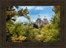 Load image into Gallery viewer, Logan Through the Trees
