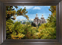 Load image into Gallery viewer, Logan Through The Trees
