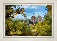 Load image into Gallery viewer, Logan Through The Trees
