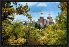 Load image into Gallery viewer, Logan Through the Trees Gallery Wrap
