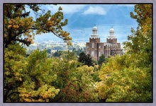 Load image into Gallery viewer, Logan Through the Trees Gallery Wrap
