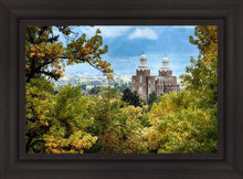 Load image into Gallery viewer, Logan Through the Trees

