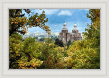 Load image into Gallery viewer, Logan Through the Trees
