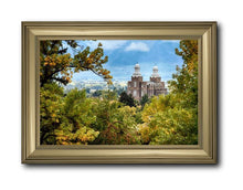 Load image into Gallery viewer, Logan Through The Trees
