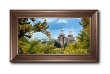 Load image into Gallery viewer, Logan Through The Trees
