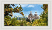 Load image into Gallery viewer, Logan Through the Trees
