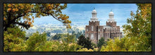 Load image into Gallery viewer, Logan Through the Trees Gallery Wrap
