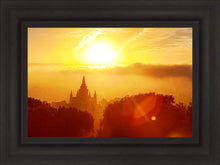 Load image into Gallery viewer, Oakland 02
