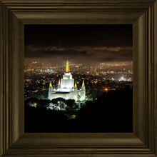 Load image into Gallery viewer, Oakland 06
