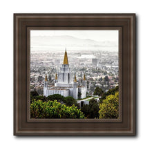 Load image into Gallery viewer, Oakland 07

